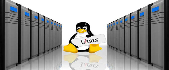 hospedagem de sites linux